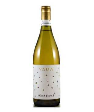 Guido Vada Mosca Bianca...