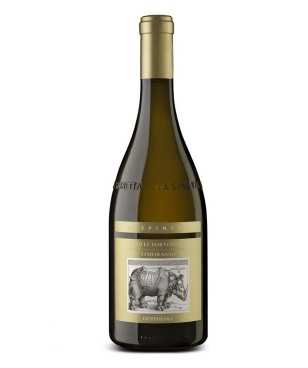 La Spinetta Derthona 2023...