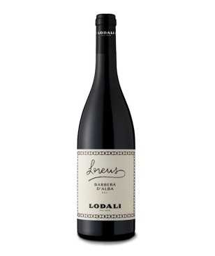 Lodali Lorens 2020 Barbera...