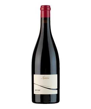 Andriano Anrar Pinot Nero...