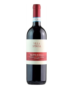 Villa Spinosa Valpolicella...