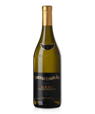 Francesco Rinaldi Gavi 2023...