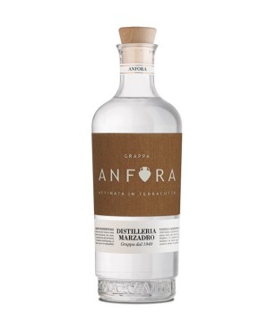 Distilleria Marzadro Anfora...