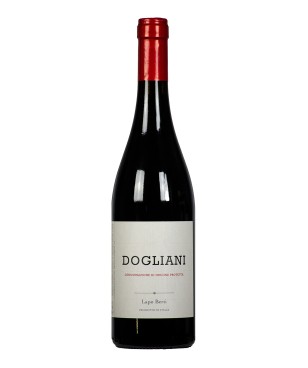 Lapo Berti Dogliani 2023 DOCG
