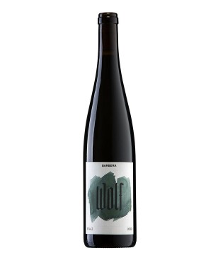 Wolf Barbera Pfalz 2020