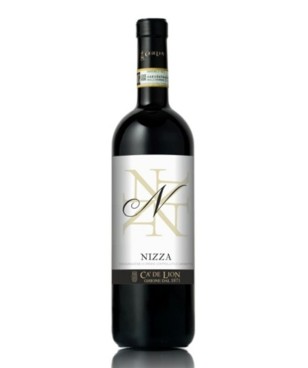 Ca' de Lion Nizza 2021 DOCG