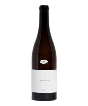 Milan Nestarec WTB Gruner...