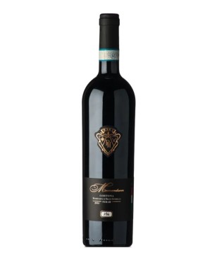 Paolo Magi Mementum 2018...
