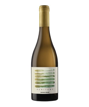 Nicola Biasi Renitens Vino...