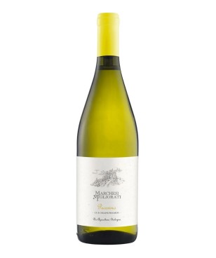 Marchesi Migliorati...
