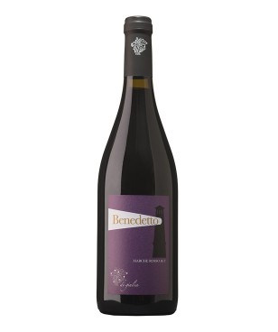 Di Giulia Bendetto 2019...