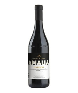 Amalia Bussia Vigna Fantini...