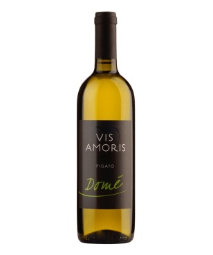 Vis Amoris Sogno 2015...