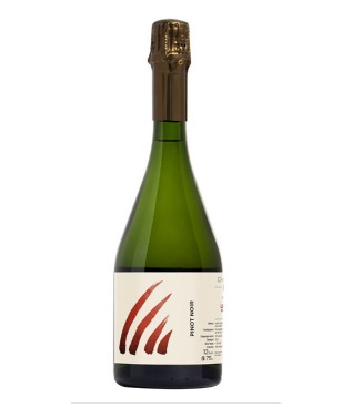 Insu Le Pignon 1er Cru...