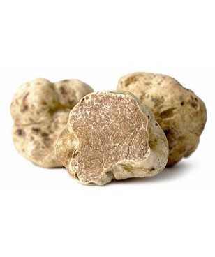 Tartufo Bianco d’Alba...