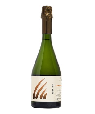 Insu Le Noyer de L'Orme du...