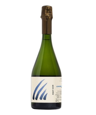 Insu Le Noyer de L'Orme du...