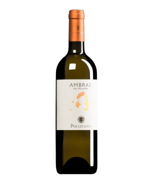 Poliziano Ambrae del...