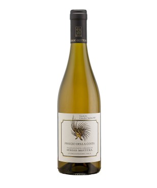 Sergio Mottura Poggio della...