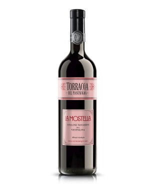 Torraccia del Piantavigna...