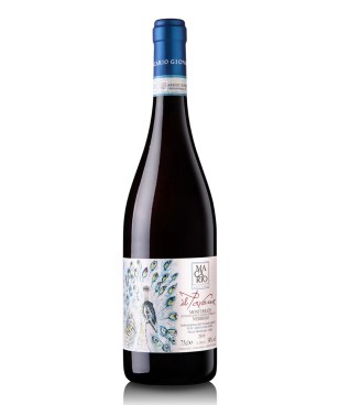Macario Giovanna Monferrato...