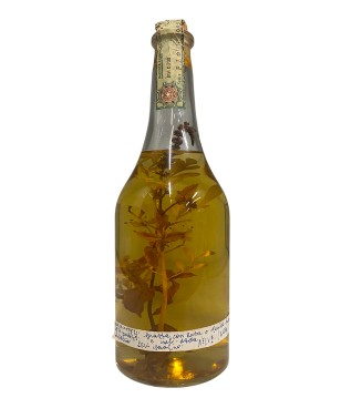 Romano Levi Grappa Storica...