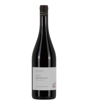 Théo Dancer Botanica Gamay...