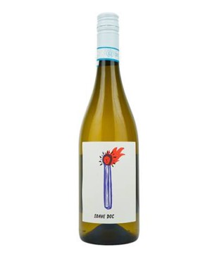 Progetto Vino Dentro Soave...