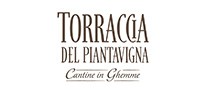 Torraccia del Piantavigna