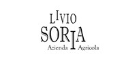 Livio Soria