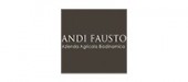 Andi Fausto